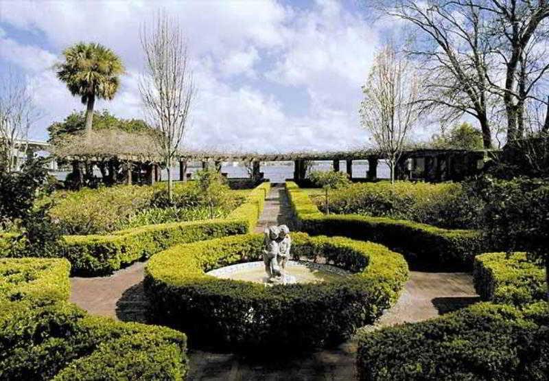Hotel Courtyard Butler Boulevard Jacksonville